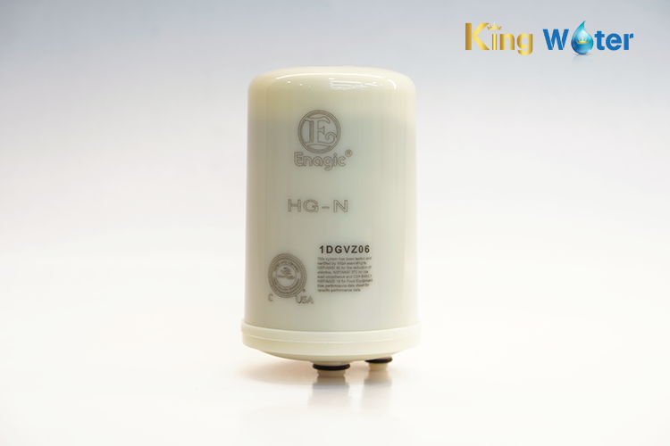 Hình thực tế lõi lọc nước Kangen SD501 